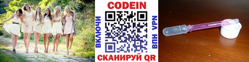 Купить где  Шлиссельбург  Кодеин Purple Drank 