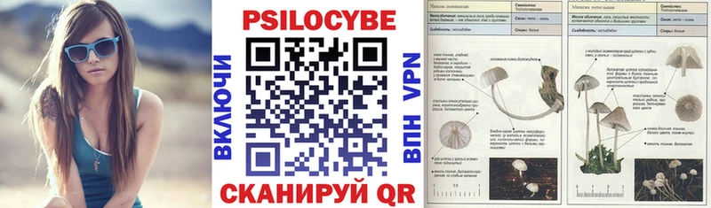 Псилоцибиновые грибы MAGIC MUSHROOMS  Купить где  Шлиссельбург 